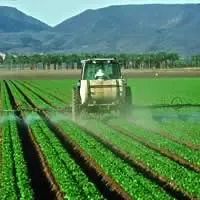 Applicazione di un pesticida in un campo di lattuga - Yuma (Arizona)