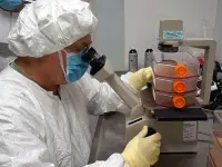 ricerca per la produzione di vaccini virali