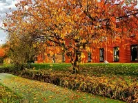 Eutrofizzazione in un canale