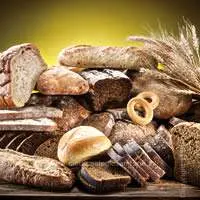 Vari tipi di pane fatti con farine, forme e metodi diversi