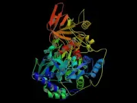 cristallografia dell'enzima aconitasi