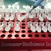 Distribuzione della soluzione da esaminare nei contenitori per PCR