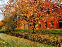 Eutrofizzazione in un canale