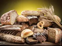 Vari tipi di pane fatti con farine, forme e metodi diversi