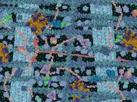 disegno con le principali molecole che costituiscono il citoplasma