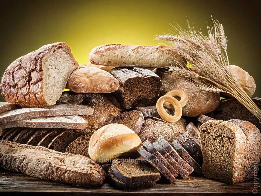 Vari tipi di pane fatti con farine, forme e metodi diversi