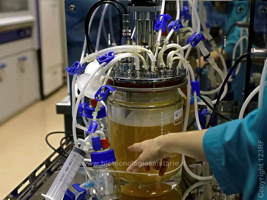 Attività di drug discovery in un laboratorio di San Pietroburgo. Foto scattata il 16 novembre 2016 