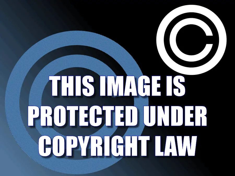 copyright law