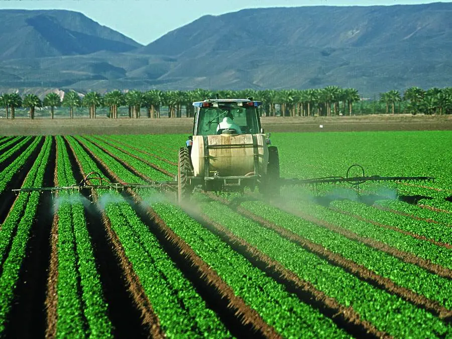 Applicazione di un pesticida in un campo di lattuga - Yuma (Arizona)